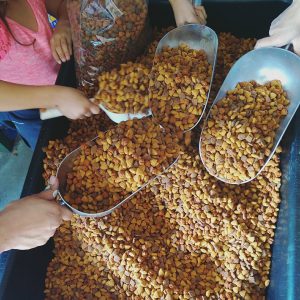 Pet Food Pantry: Help Families in Need | Healthy Paws Pet ...