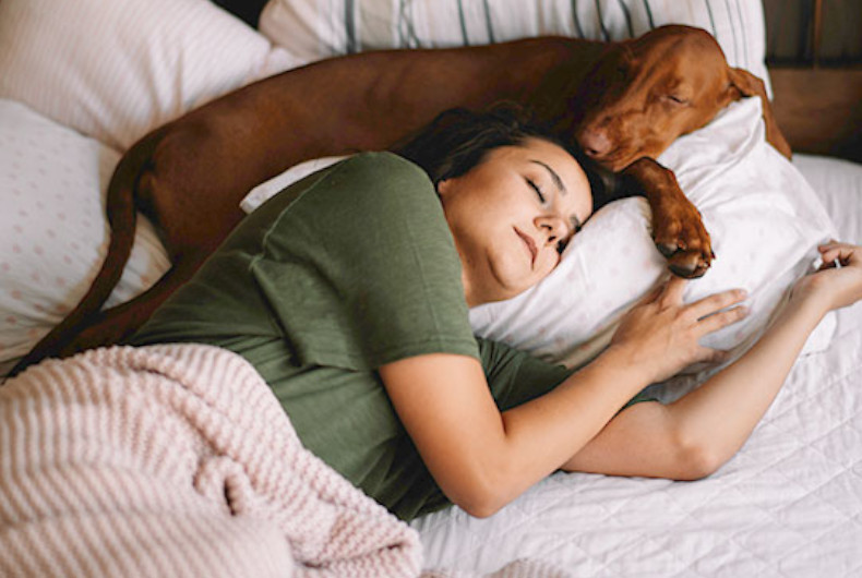 Dog sleeping with woman