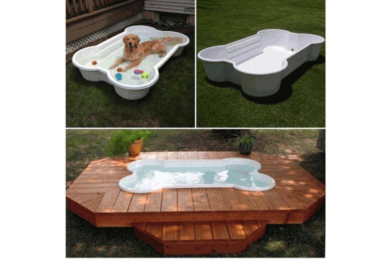dog bone swimming pool and deck