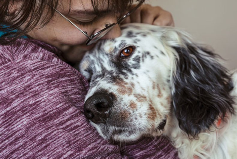 English Setter with woman
