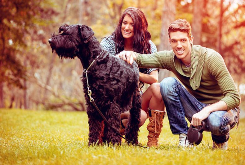 Giant Schnauzer with couple