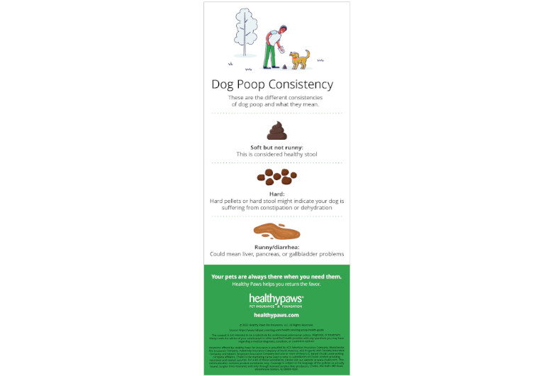 Dog poop consistency infographic