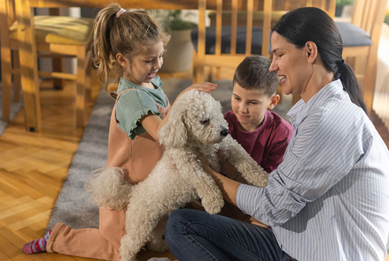 Lagotto Romangnolo with family