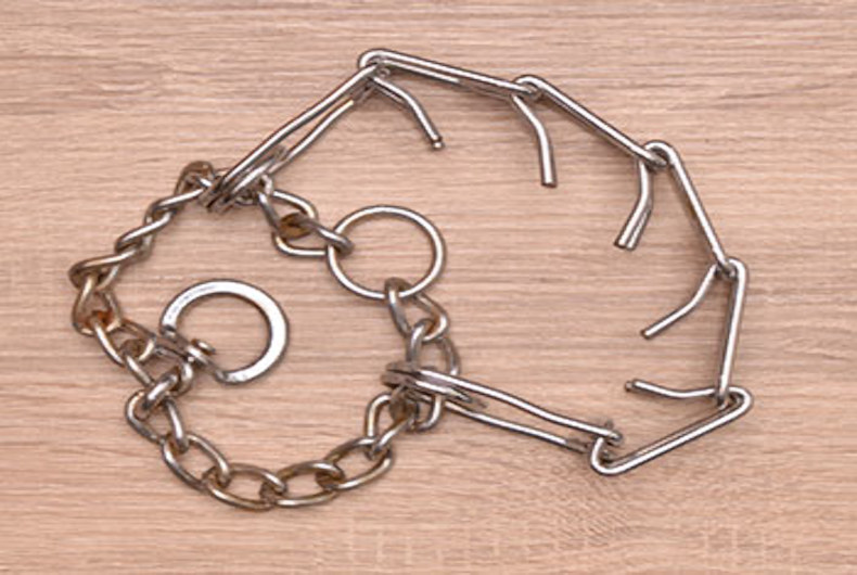 prong collar
