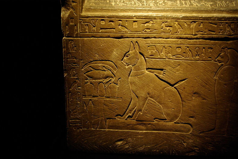 Egyptian wall carvings of a cat