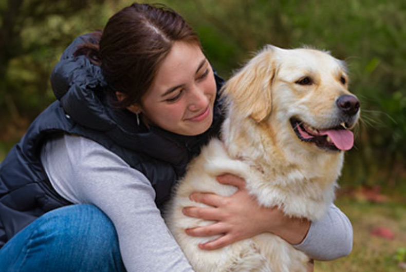 Stevie the Golden getting a hug