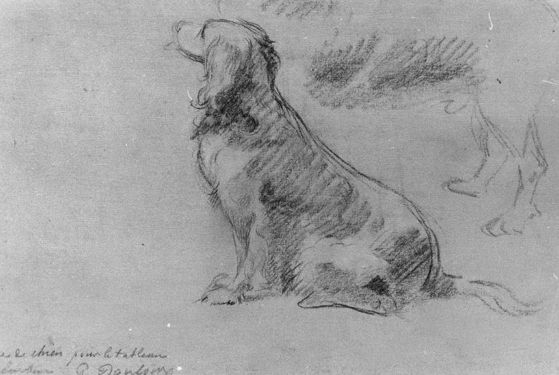 pencil sketch of a dog