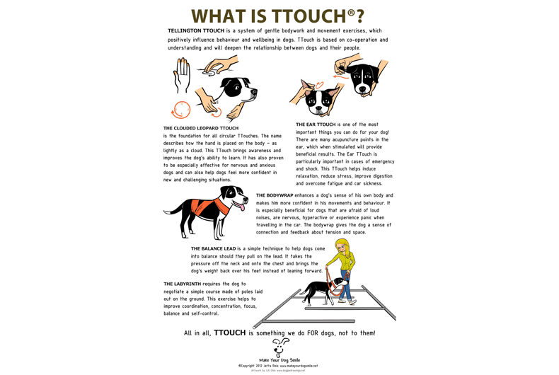 What is T-Touch infographic