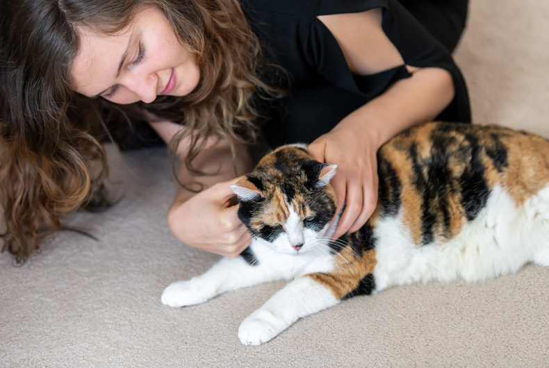 woman touching cat's neck