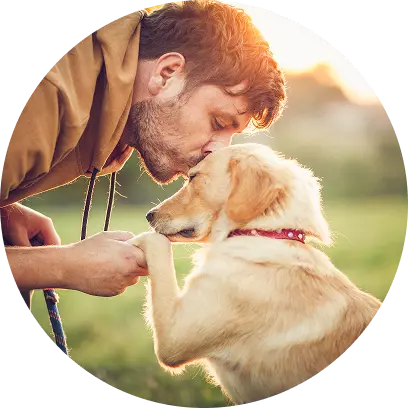 Pet insurance for emergency care