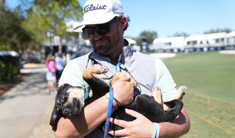 A man in golf attire smiles down at the brown and black adoptable pup he holds in his arms