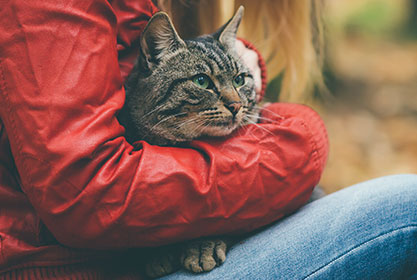Best insurance for puppies