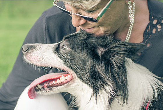 Best insurance for dogs and cats