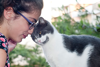 Best insurance for dogs and cats